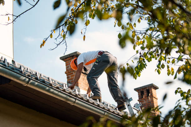 Best Storm Damage Roof Repair  in Roseburg, OR